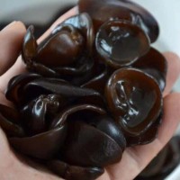 木耳批发新货东北特产黑木耳干货肉厚无根小碗耳椴